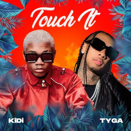 KiDi - Touch It (Remix) feat. Tyga
